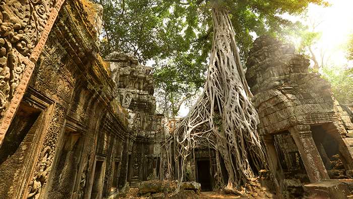 /material-alias/theme/angkor/img/an006.jpg
