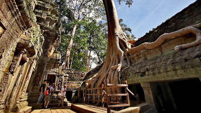 /material-alias/theme/angkor/img/angkor0017.jpg