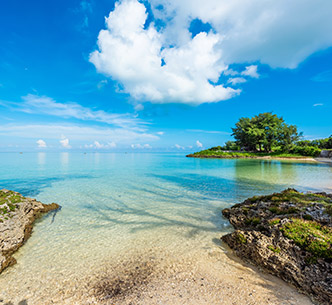   星宇台中｜夢幻宮古島．機+酒．2人成行４日