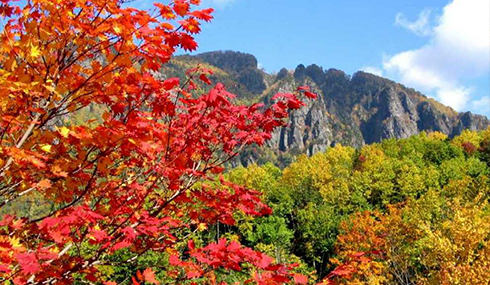【秋楓北海道】層雲峽紅葉五日