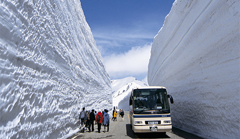 /material-alias/theme/japan/artimg/北陸/立山雪壁2.jpg