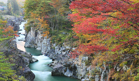 /material-alias/theme/japan/artimg/東京東北/嚴美溪-秋.jpg