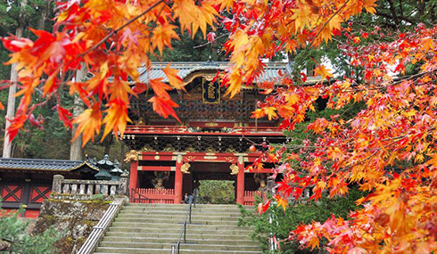 /material-alias/theme/japan/artimg/東京東北/日光東照宮-秋.jpg