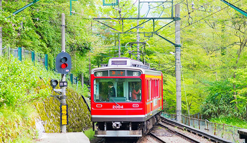/material-alias/theme/japan/artimg/東京東北/箱根鐵道雄獅.jpg