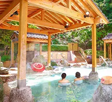 奧道後壹湯之守