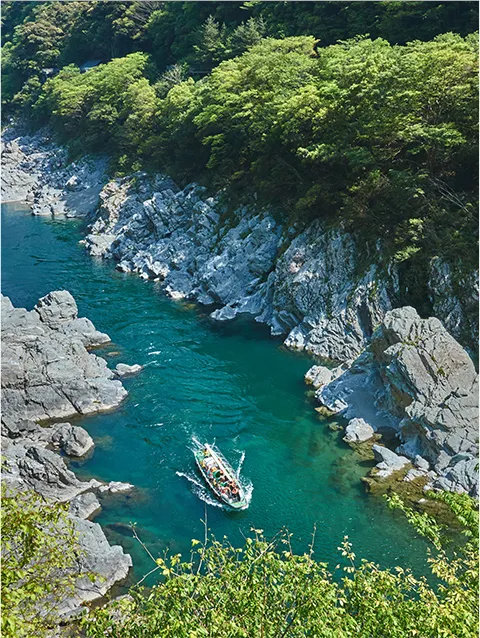 大步危峽遊覽船