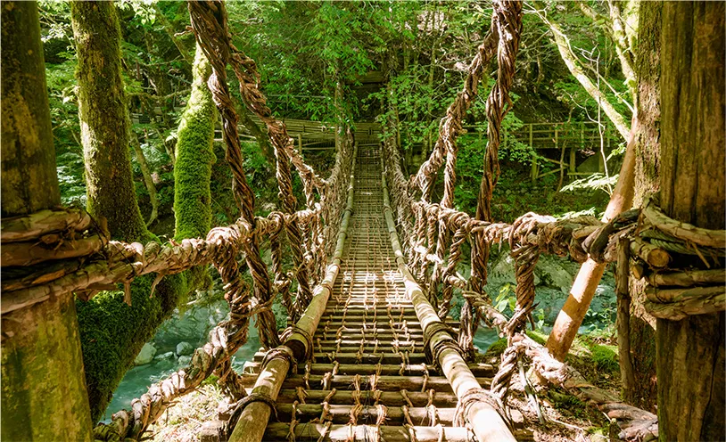 祖谷溪葛藤橋