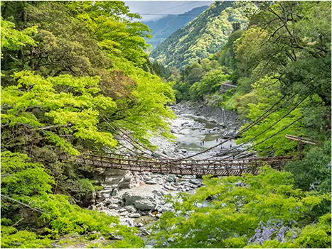 祖谷溪葛藤橋