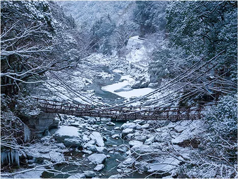 祖谷溪葛藤橋