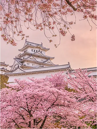 姬路城