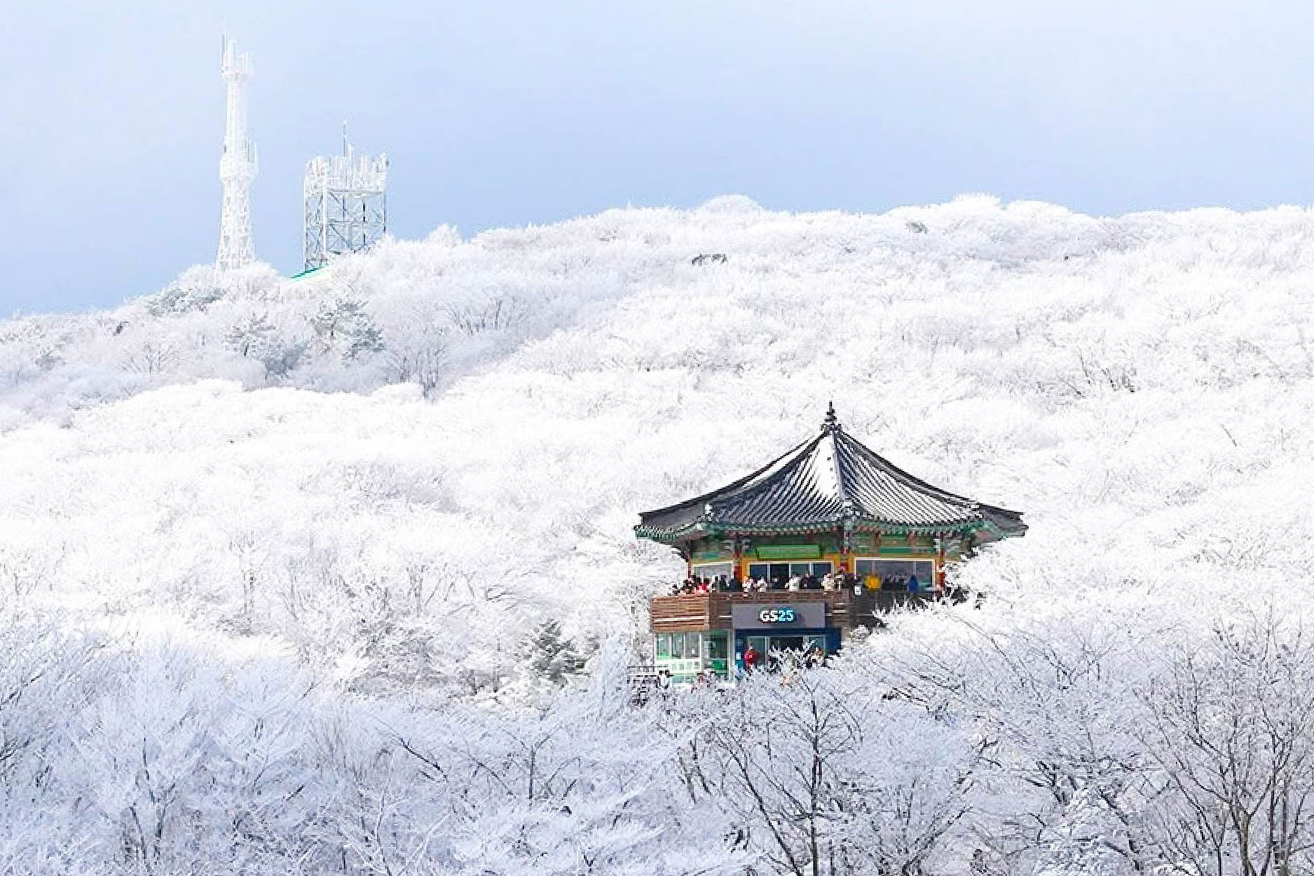 /material-alias/theme/korea/img/濟州/490-285漢拏山冬天雪地.jpg