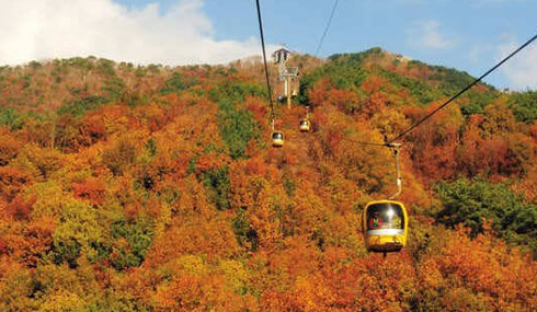 /material-alias/theme/korea/img/釜山/490_285八公山纜車11.jpg