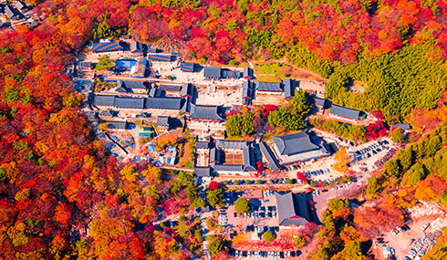 /material-alias/theme/korea/img/釜山/490_285梵魚寺.jpg