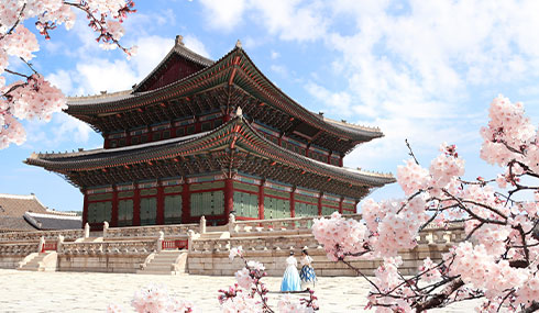 /material-alias/theme/korea/img/首爾/490_285景福宫櫻花韓服.jpg