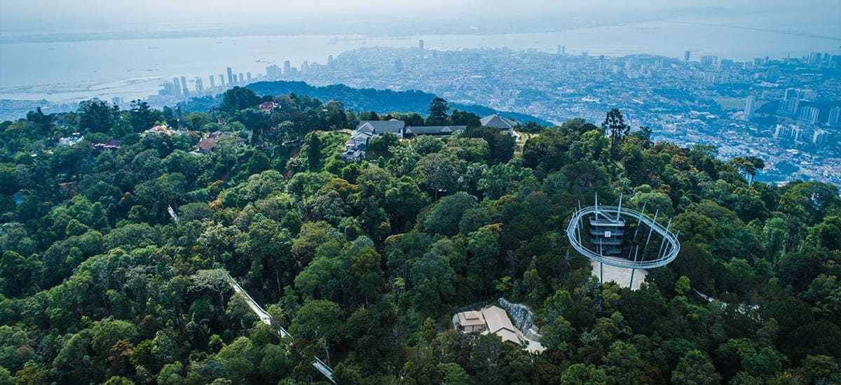 自然生態公園