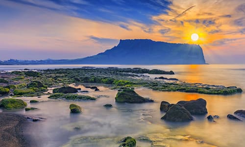 濟州、泰迪熊、噴射快艇５日