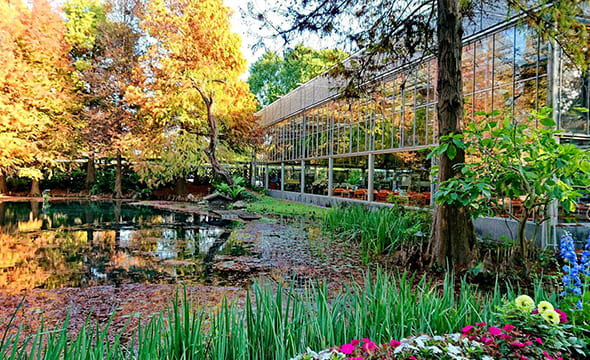 菁芳園