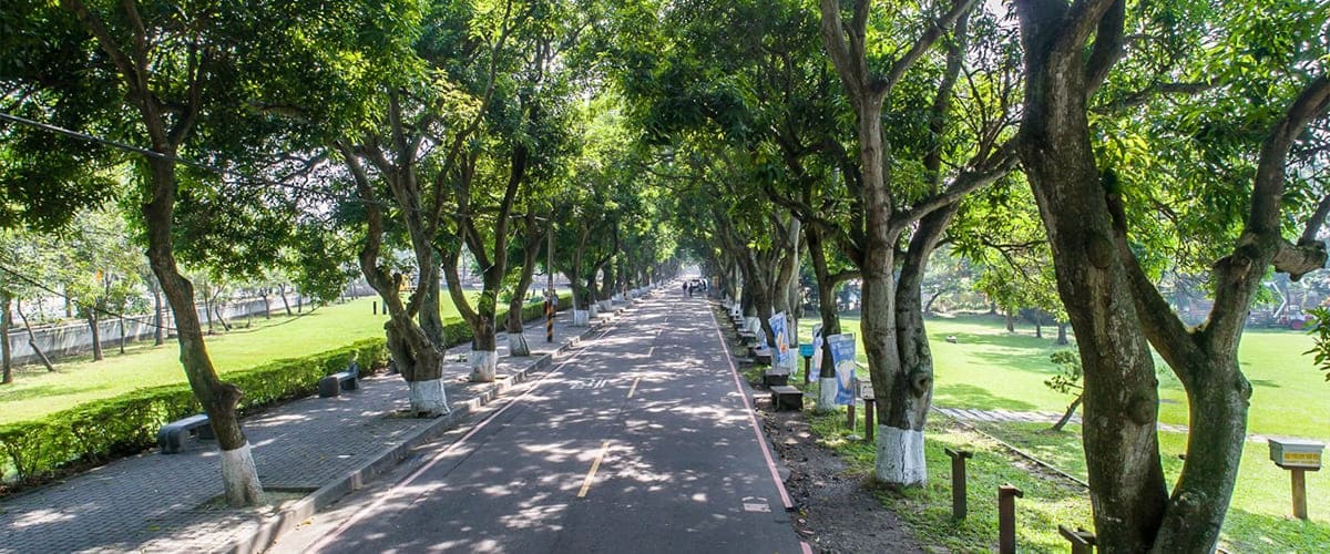 古坑綠色隧道(綠色隧道交流驛站)