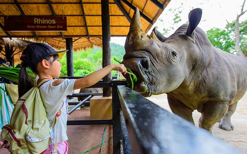 /material-alias/theme/thailand/Bangkok/view/KhaoKheowOpenZoo01.jpg