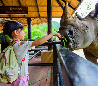 Khao Kheow Open Zoo