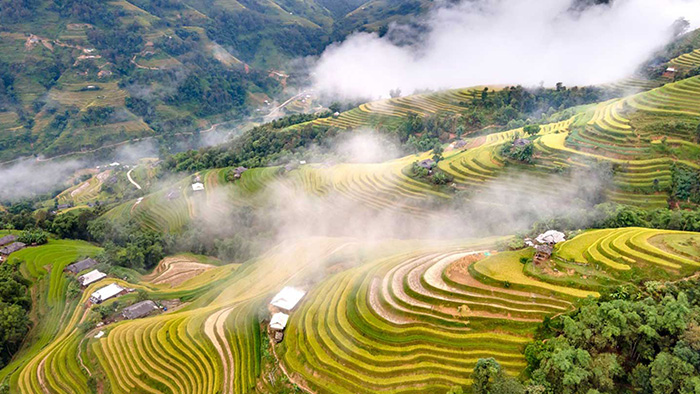 /material-alias/theme/vietnam/stroke/Mucangchai/mcc022.jpg
