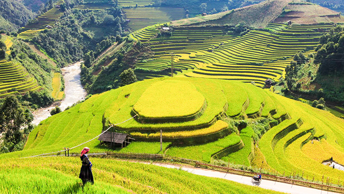 /material-alias/theme/vietnam/stroke/Mucangchai/mcc107.jpg